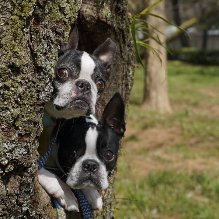 F161417c 523e 46de 8b6c 1797f16b396f 1521351237898