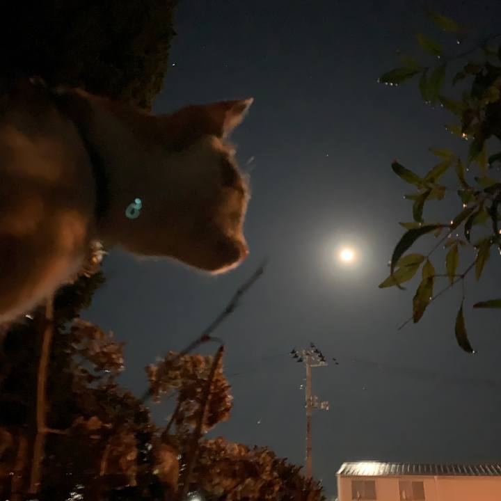 F161ac1a cb0a 4f03 8c88 66c931133b33 1578565807735