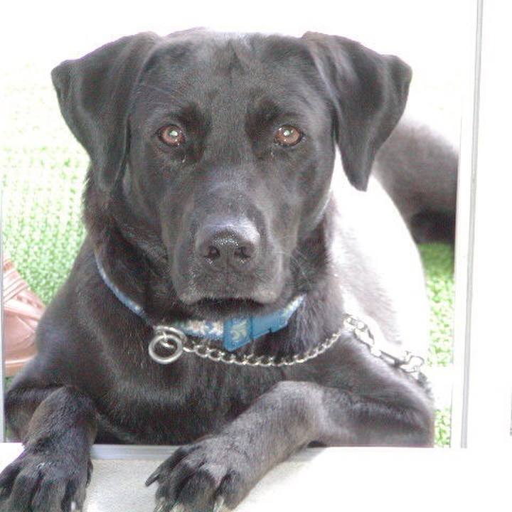 F161bbc8 5bf8 4fe1 a833 c9712b7fb309 1520519607325