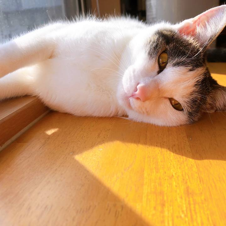 F161dd95 318c 4607 a220 24e213a2cc3b 1587255839720