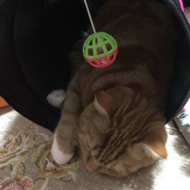 F1620913 1d70 4eed 893b 194287f5e045 1511703604151