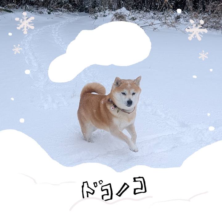 F1624d6a 0af9 4bd9 ba86 9d6be83feceb 1771820769689