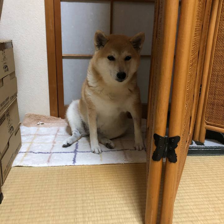 F1627c2a b36a 409c 90b6 475030d2c52c 1565348457749