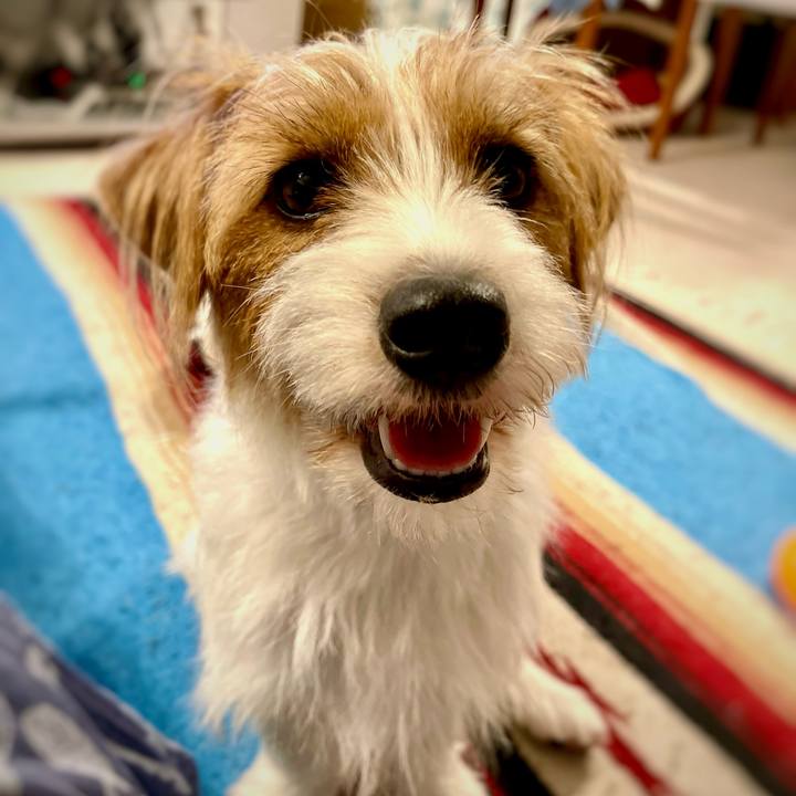 F1627e80 0b49 4d56 bb39 569ad8caea21 1766922218063