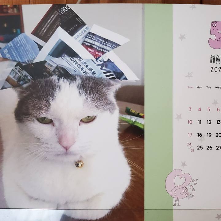 F162aa61 63e9 4883 a08c a58ddf1818bf 1588383060636