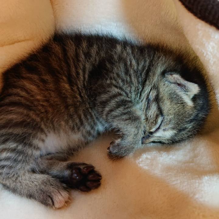 F162c894 f504 4ba6 9208 e73470f38ab4 1602325935760