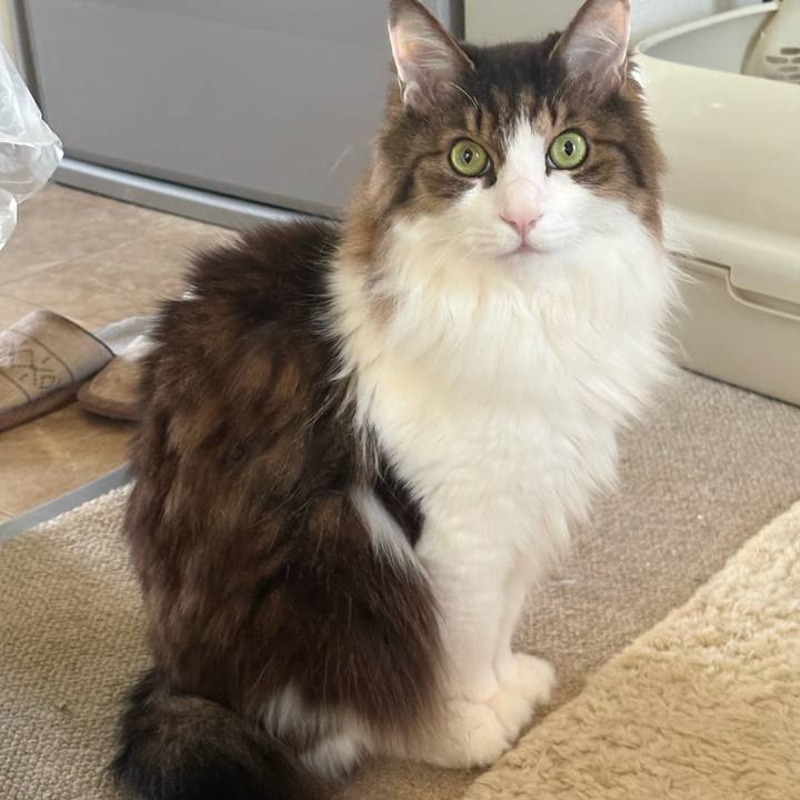 F162e7a9 3ace 4db3 9b8f 0363eb822134 1772837028454