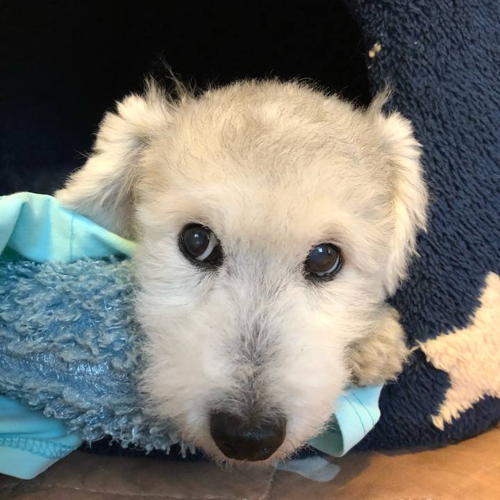 F162eb65 2c9a 463e a35e da41cd6745e8 1599437796429