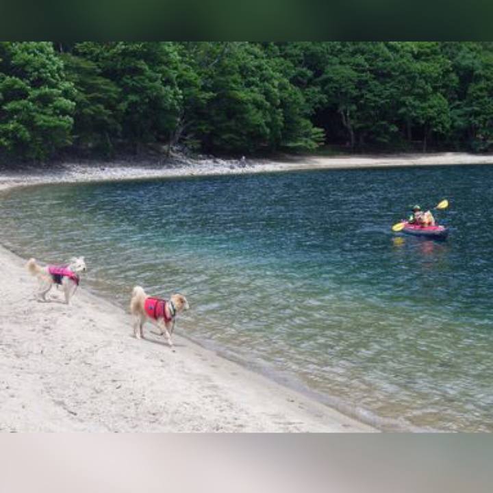 F162fe04 611a 4f0d 8162 1c784c9afa48 1622507135482