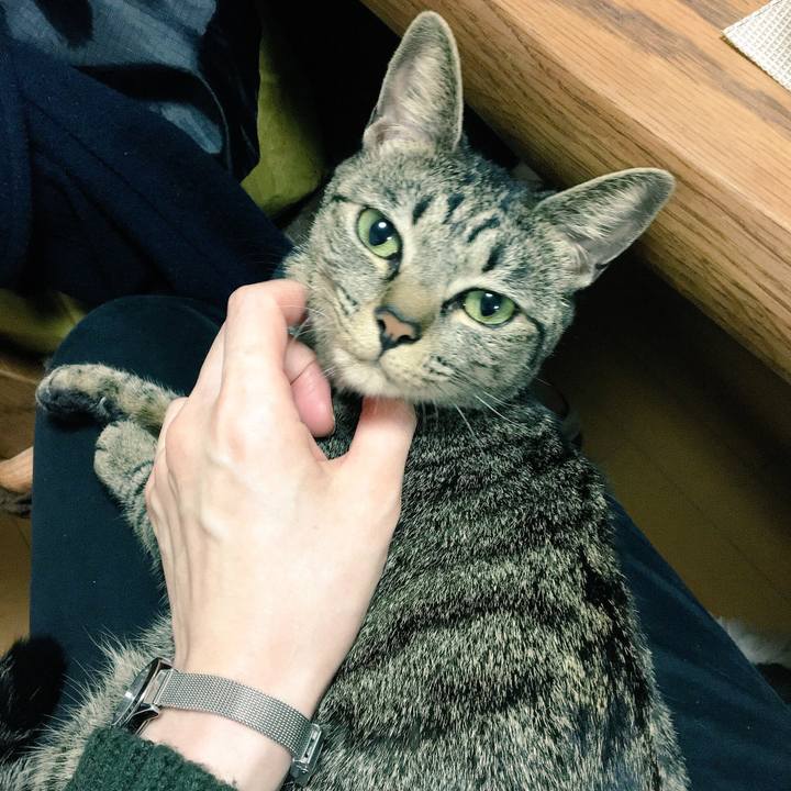 F1631225 35d7 4405 90bb a965e82f3ee5 1511061598553