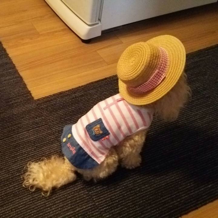 F163408e 51e5 4cae a2da d838f5e7b096 1533727796145