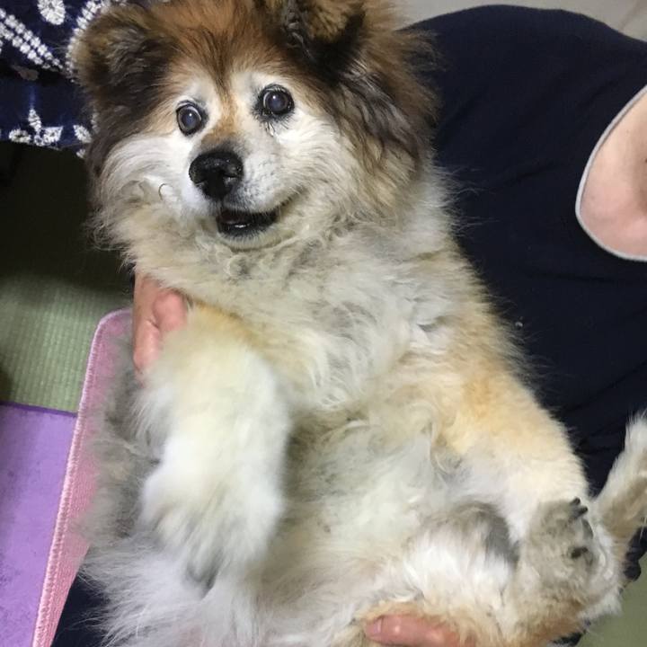 F163527a a289 4332 ada2 9d82234a3150 1576351676067