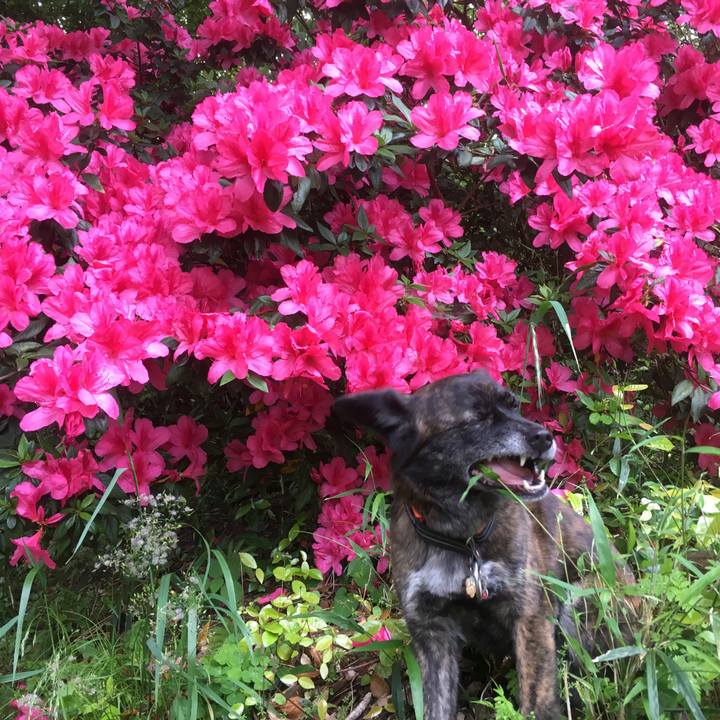 F16358e1 e9ea 43b3 be81 818cc068d244 1527473538582