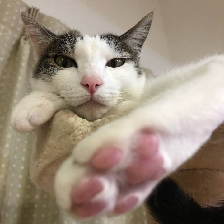 F1635ef0 8b57 4ee7 89da 73b66c821a9b 1685016012240