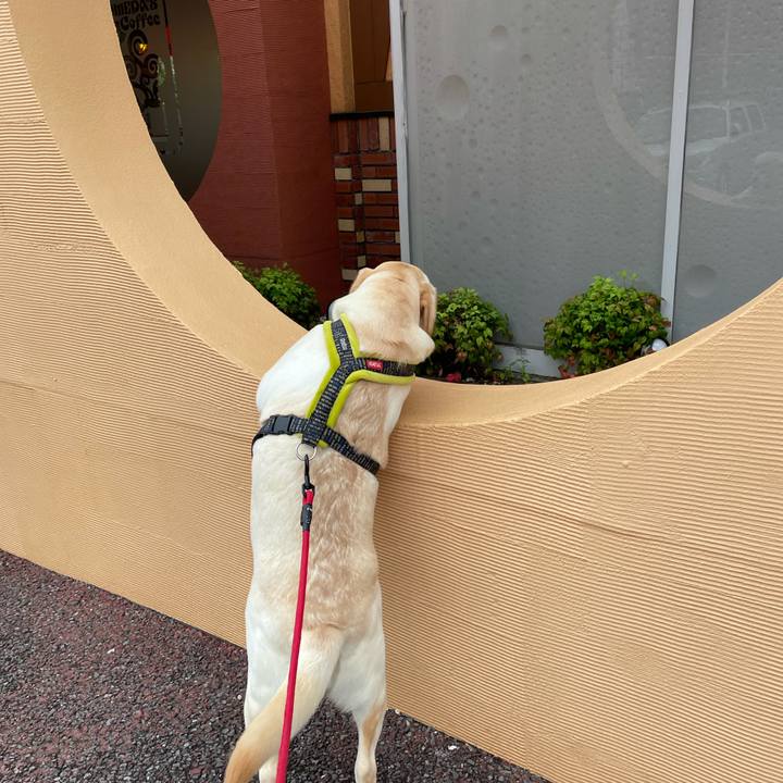 F1638835 61d1 4119 8e09 376f966d95a1 1632815785968