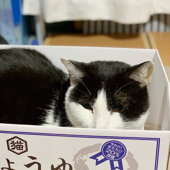 F1639570 5fba 445b 9e30 4c09c9a2e354 1545529915398