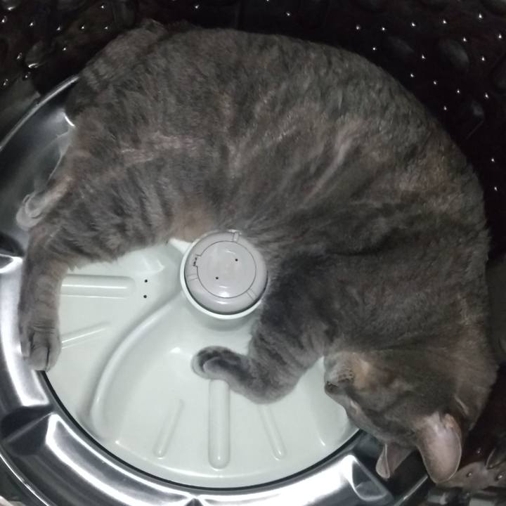 F163c426 3f13 4036 8f05 ee29d453bd8b 1660286813405