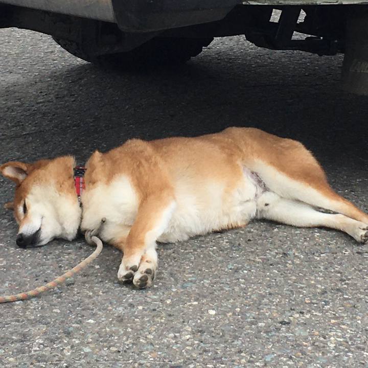 F16458b2 bfa4 468a 84ca 6909478fa080 1590360852109