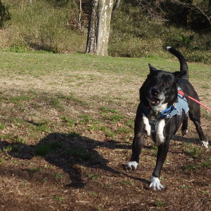 F1646db8 9907 4e6c b0a7 7575b110931a 1709513079639