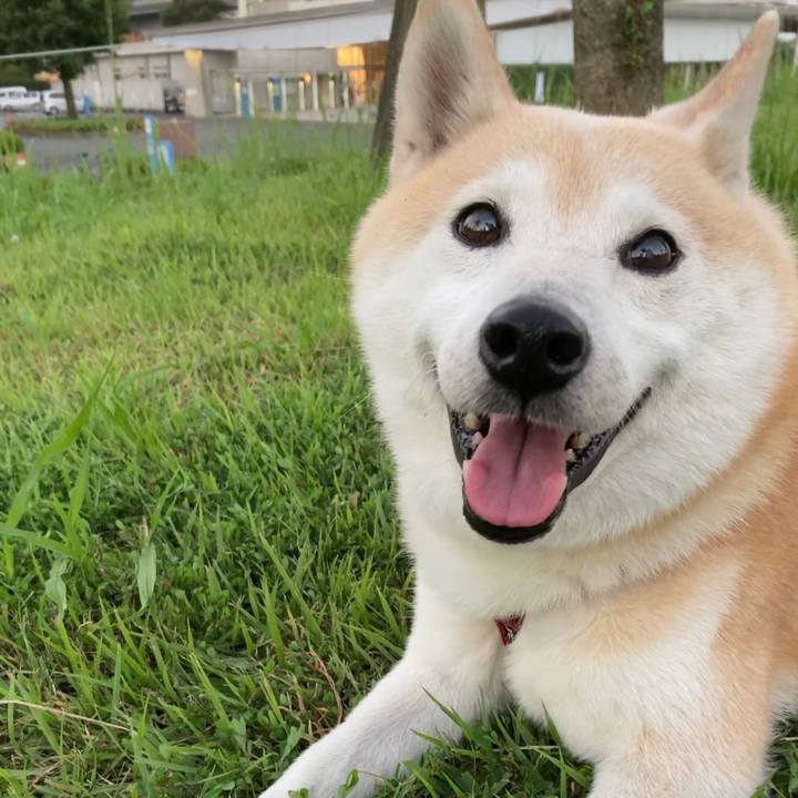 F164dba3 519d 42cc 8441 0baae9300569 1604498575054