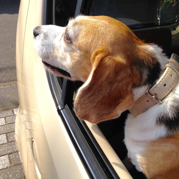 F164ee9c bfe3 4360 be6d 4e43557e5761 1729718763493