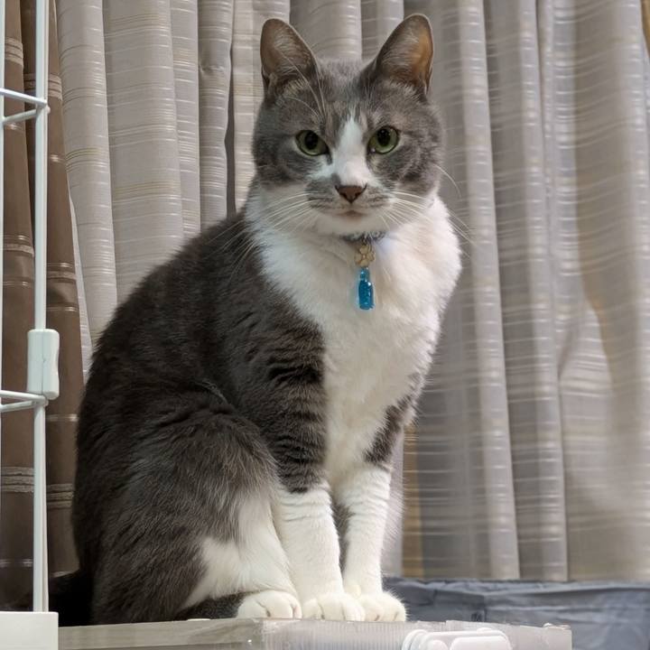 F1652f3b 8fd4 418f b3cd 71160e4d1abd 1733059463496