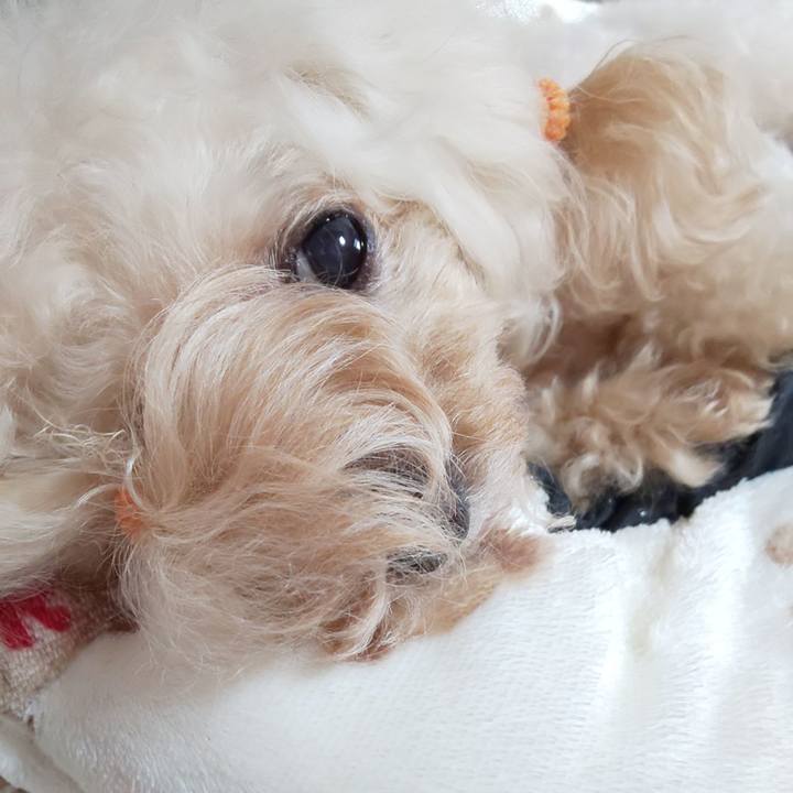 F165525f 9e41 48d3 9c0f 749825740189 1763014054119