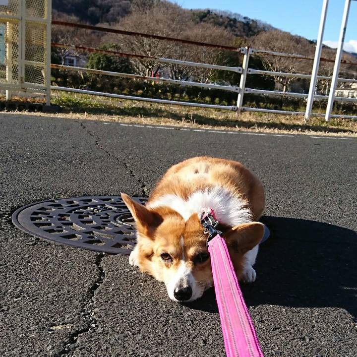 F1656e19 fded 4267 9ef3 d4256d56f94d 1547018017673