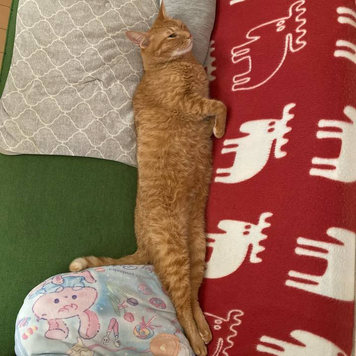 F1657b6b c370 4f3c a850 7ee07fcb49d3 1762918822765