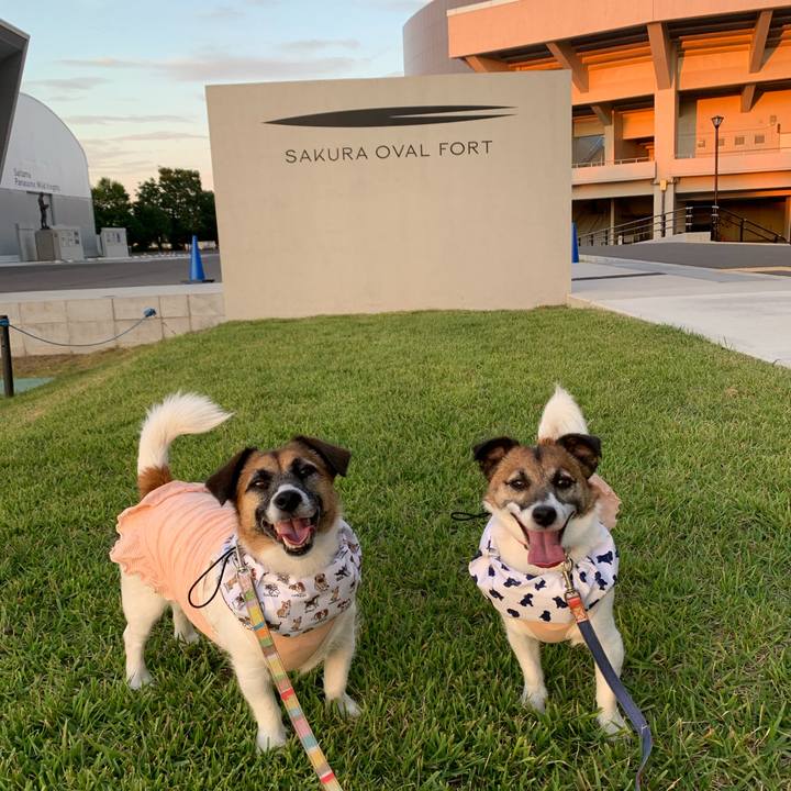 F165a646 21cf 43be 9eeb bd289a98bb33 1656258746810