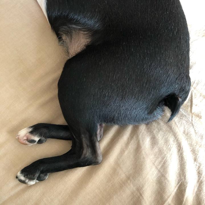 F165d2a3 c27d 4560 9aba a45c0ed1e1dd 1672193756934