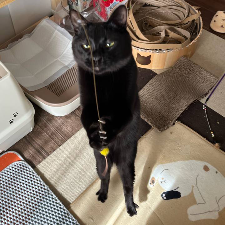 F165f74d 07cb 4d13 ab73 5026690d119b 1764399134888