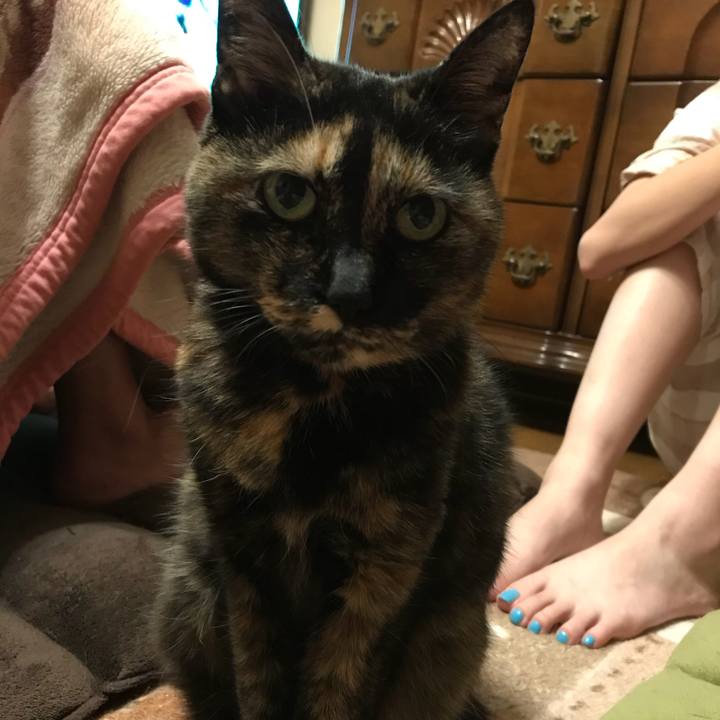 F1660a4e de9f 415a 9430 9642a943077a 1529196145053