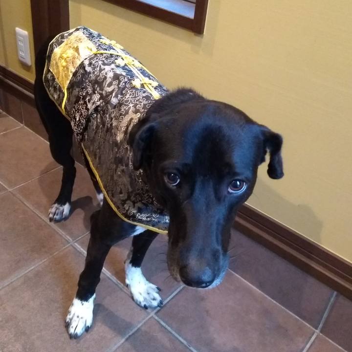 F166105b 47eb 4702 8fce 0af346ff9de5 1591402759583