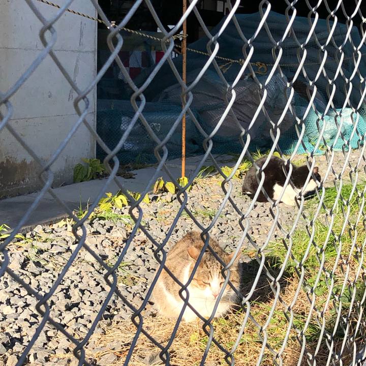 F1662c2e 23e2 4df8 b2d3 bcdcc80fc9a6 1547987012677