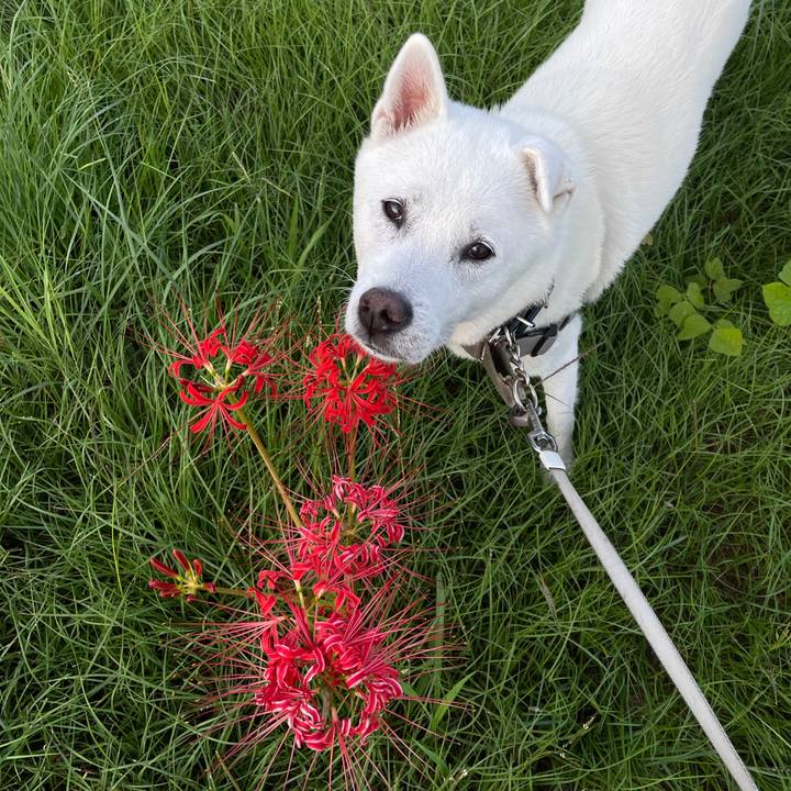 F1668866 906c 4b8e 8878 19da44a6be10 1727476784519