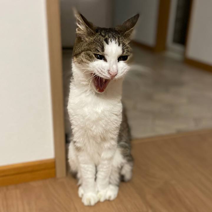 F166a95e f954 4305 8964 90710afe1cc8 1573304781054