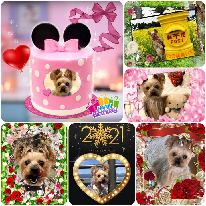 F166e317 228e 4d85 9630 80702c76c627 1610663089930