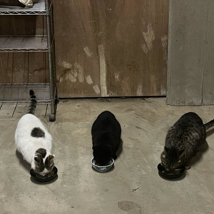 F1670020 1e8e 4079 b273 cbed42eced6e 1711394490452