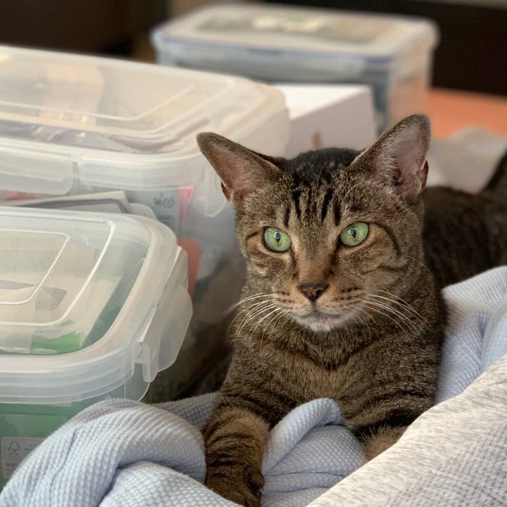 F167084e feb7 4d5a 806c f7f2fe959762 1567730635472