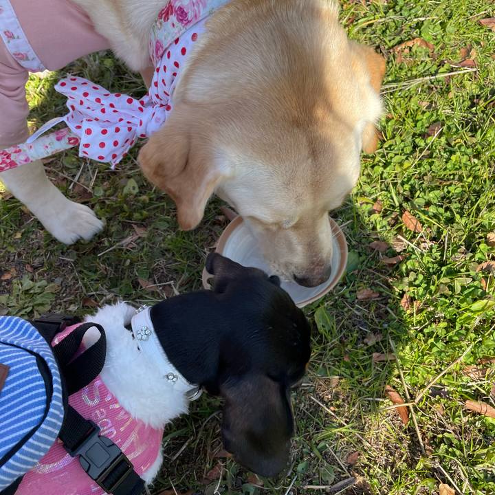 F1670e69 6fd3 4b53 a3e8 f1a6d7cafce2 1641556197221