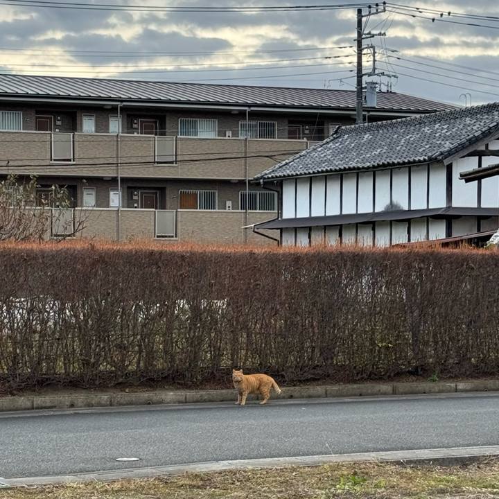 F16713d1 f24c 4ca4 9f0b 52809598060e 1762827839601