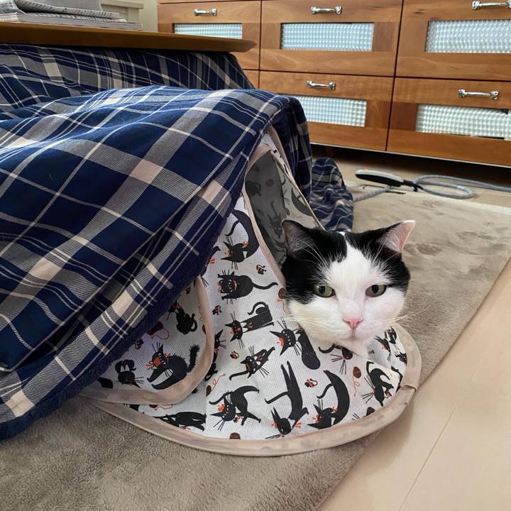 F1671bbb 468b 41f7 b671 0465682bf13e 1771281818893