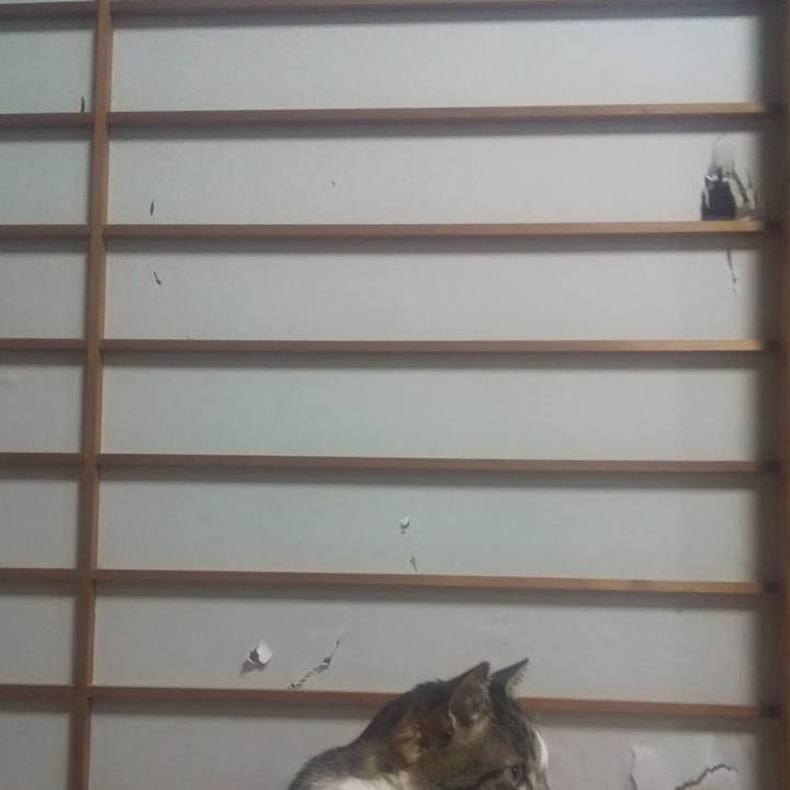 F1672b94 91f4 4b45 9fc7 d8894cccf85c 1710506717930