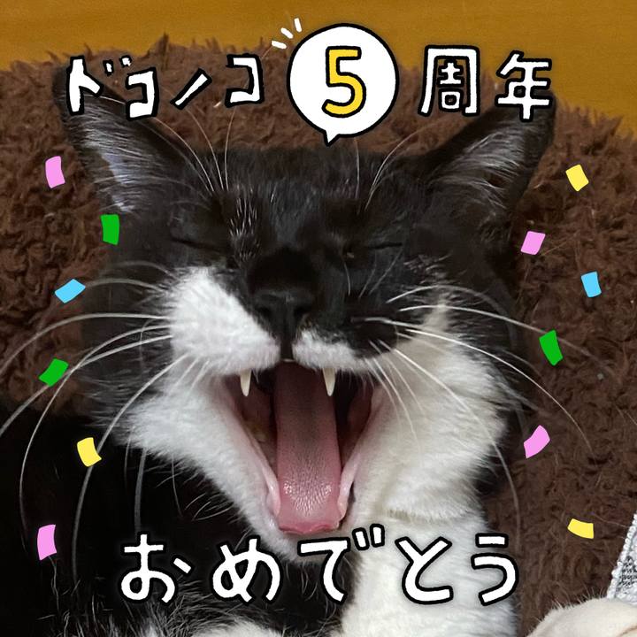 F16763f2 a47b 4e76 99e1 7a8277d10135 1623644537493