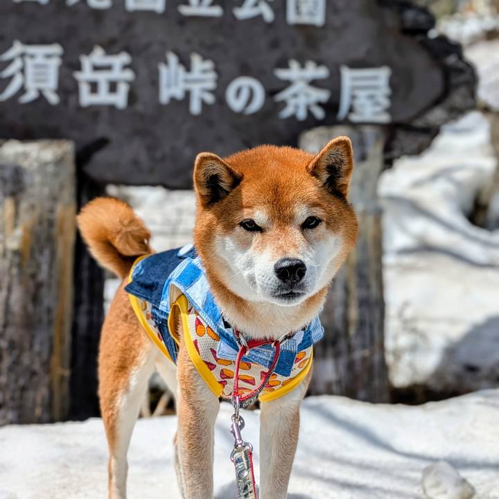 F167a308 dcef 4c85 8642 40854749d134 1745413288864