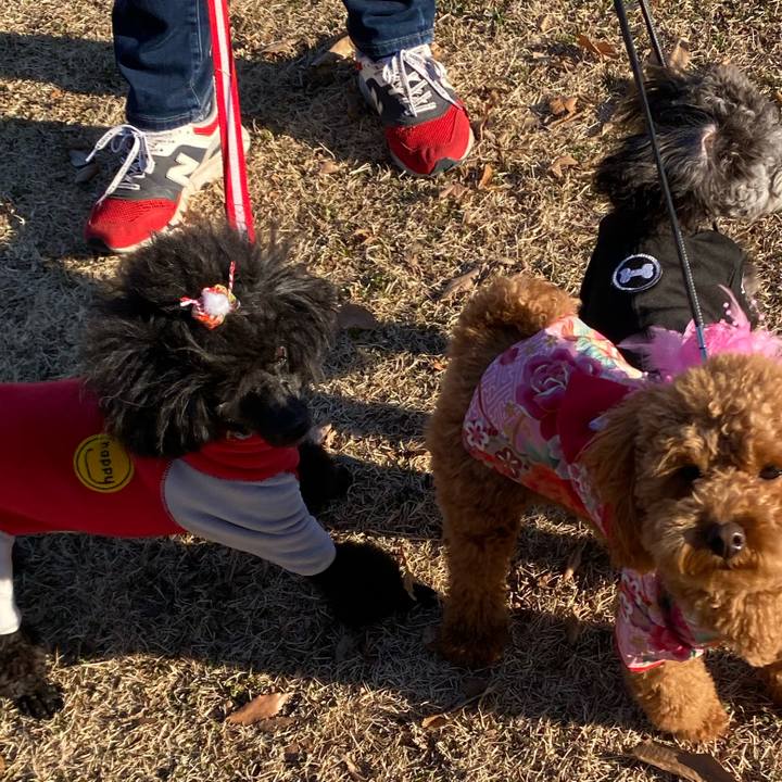 F167b643 45d3 459f af03 01abdc4bb716 1641254193209