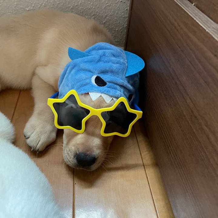 F168269c 2811 42ce 9146 6fa6738dfd3f 1629536062484