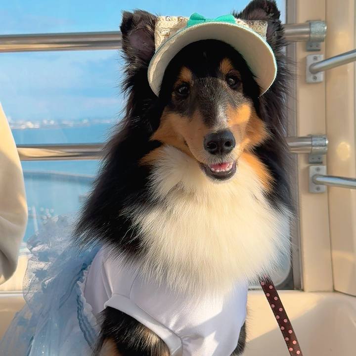 F1683b0f 3590 4b72 b289 38d1f1217e38 1743963899347