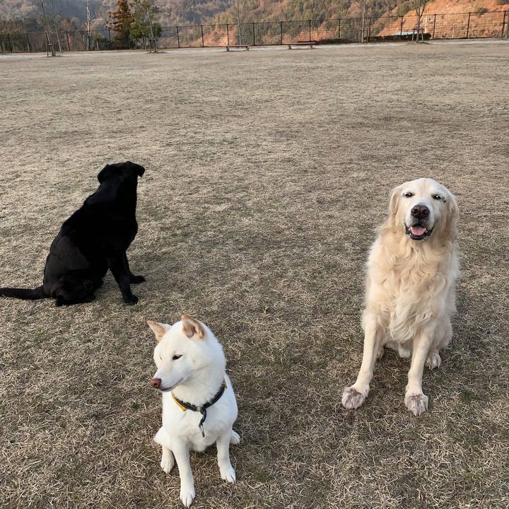 F16842e1 c683 4d8f a68f 0859b9ef8e44 1550365573295